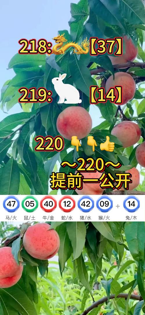 收集各类澳门彩资料的软件叫什么:年满22周岁就分房