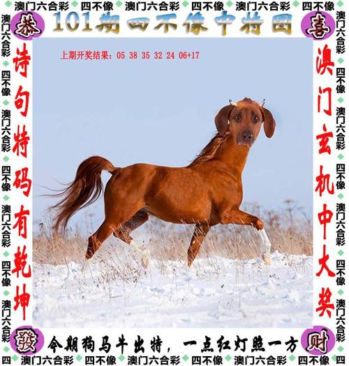 第142页
