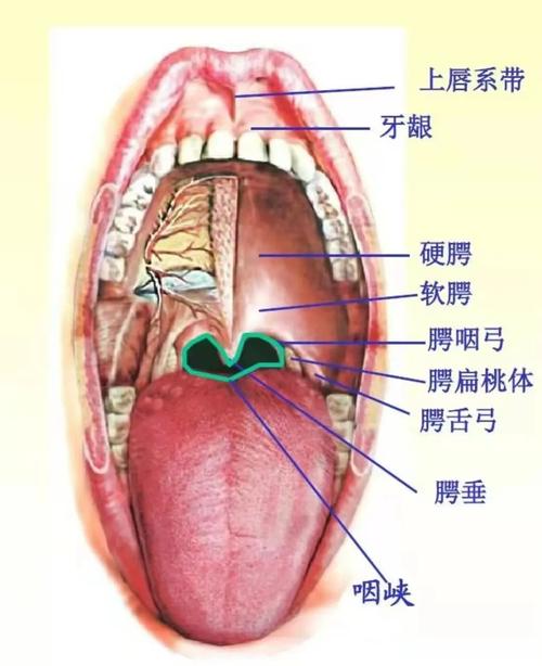客户服务 第5页